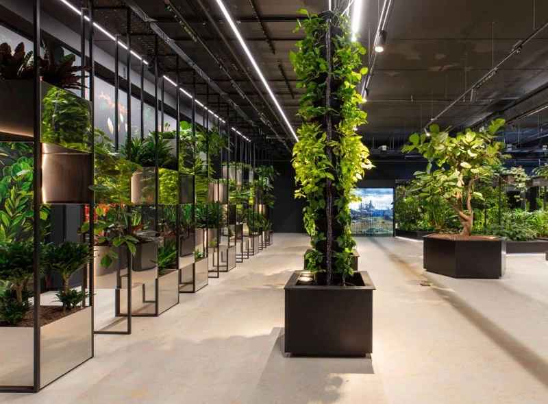 indoor plant works dubai